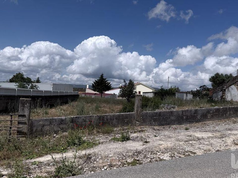 Terra a Santarem, Santarem - foto 5