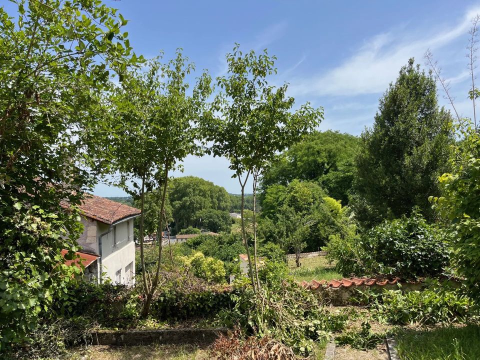 Villa i Aubeterre-sur-Dronne, Charente - foto 2