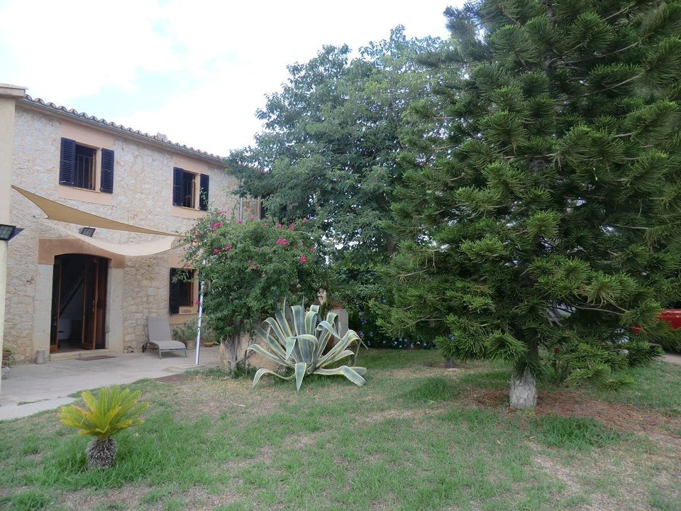 Country house in Binissalem, Mallorca - photo 3