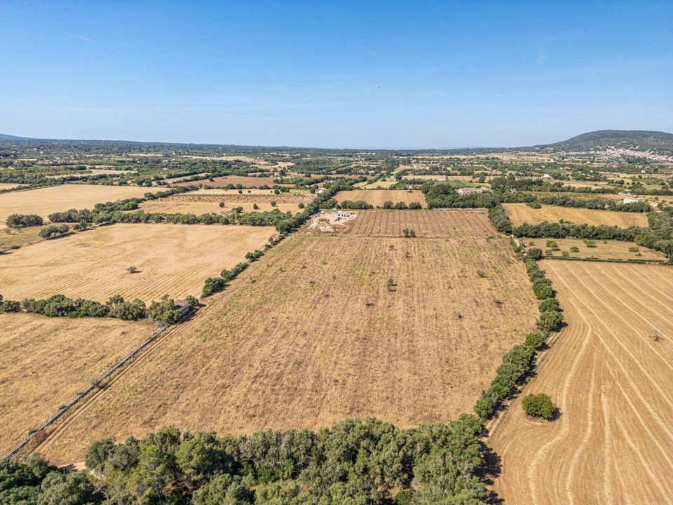 Helårsgrund i Sencelles, Mallorca - foto 5