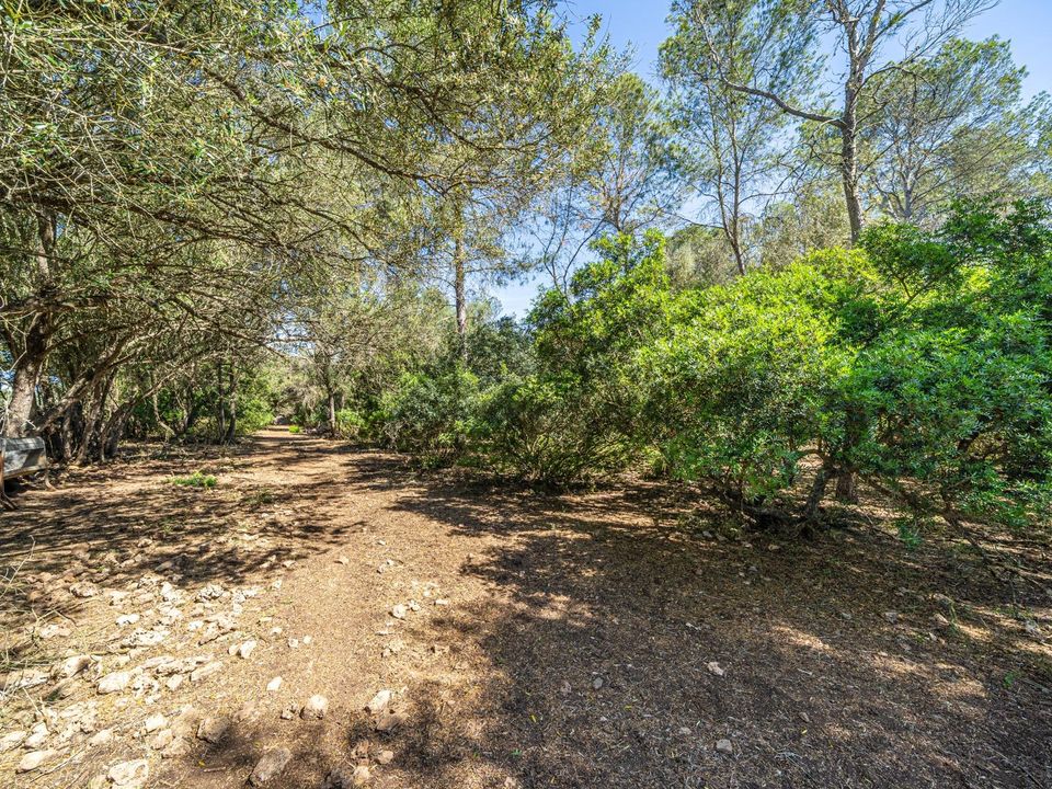 Helårsgrund i Sencelles, Mallorca - foto 1