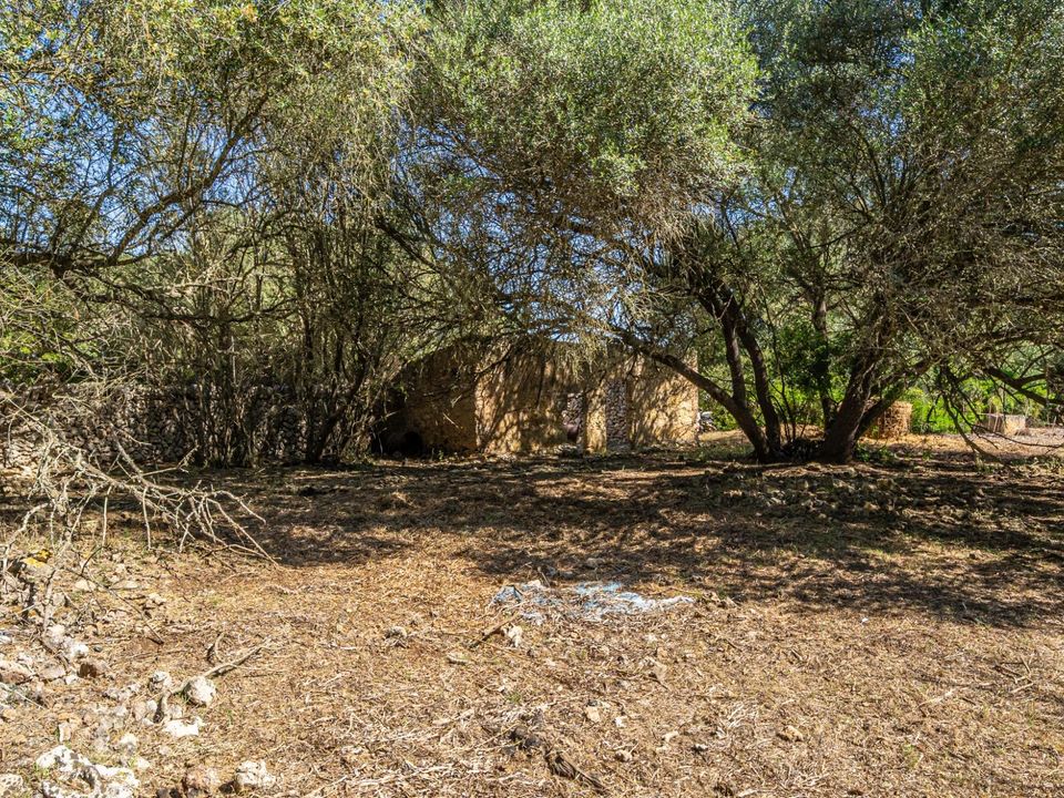 Helårsgrund i Sencelles, Mallorca - foto 2