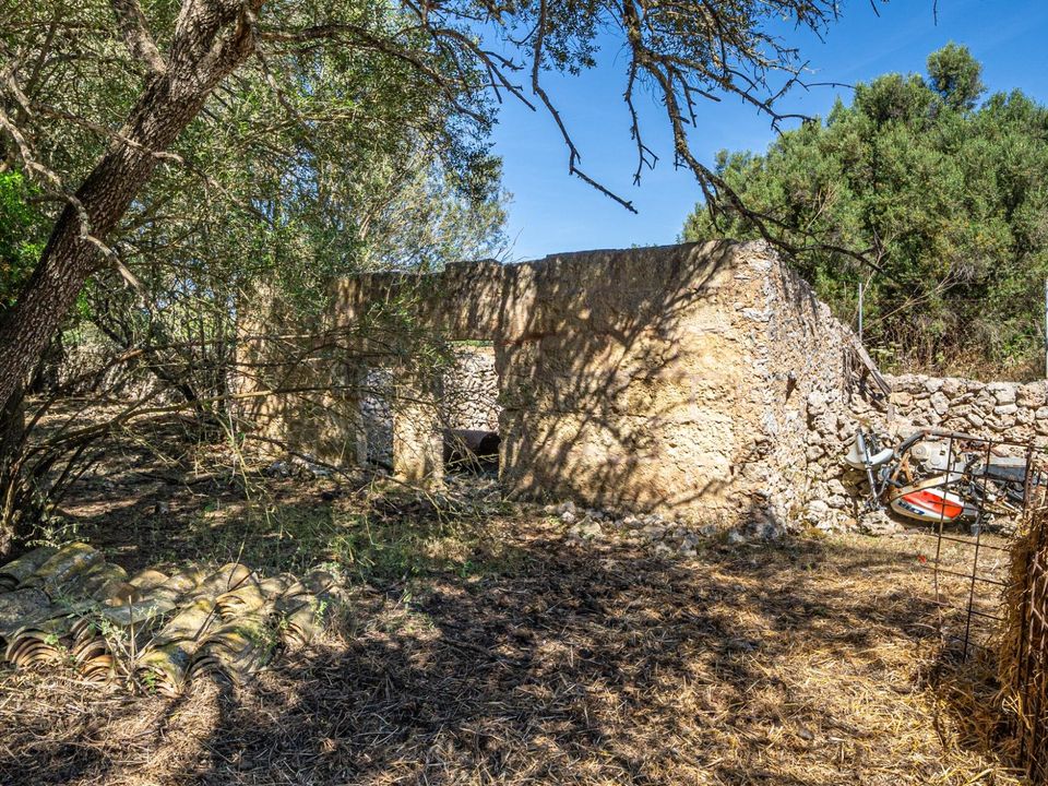 Helårsgrund i Sencelles, Mallorca - foto 3