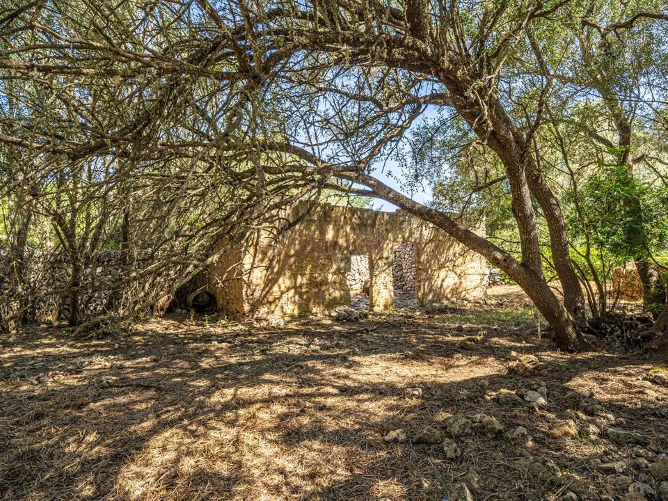Helårsgrund i Sencelles, Mallorca - foto 5