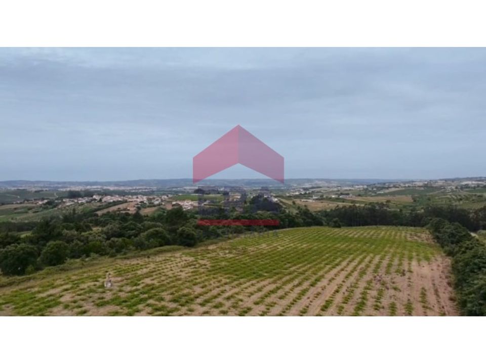 Helårsgrund i Carvalhal, Leiria - foto 5