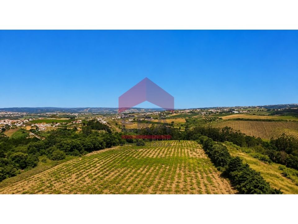 Helårsgrund i Carvalhal, Leiria - foto 4