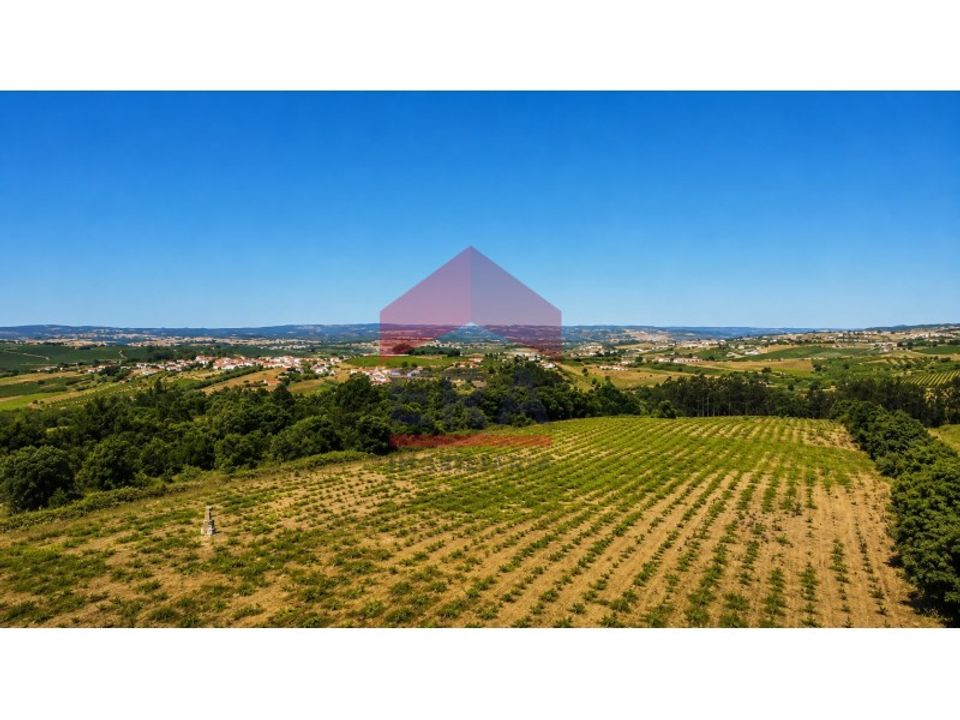 Helårsgrund i Carvalhal, Leiria - foto 5