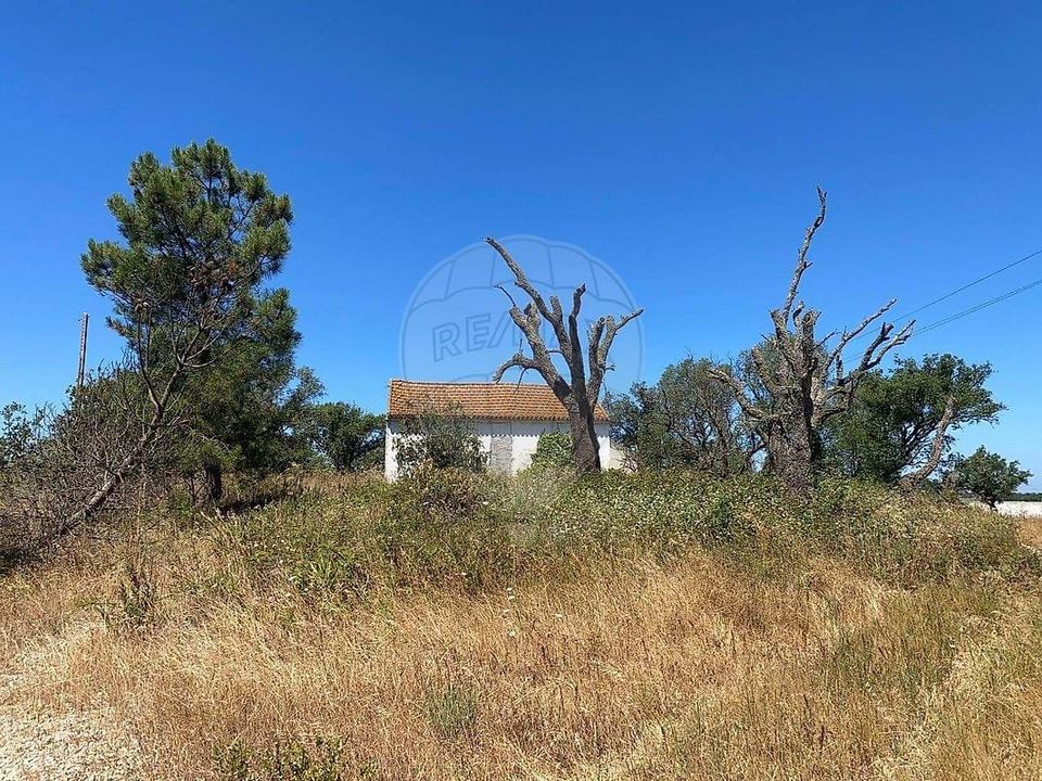 Farm hus i Palmela, Setubal - foto 1