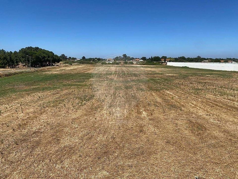 Farm hus i Palmela, Setubal - foto 2