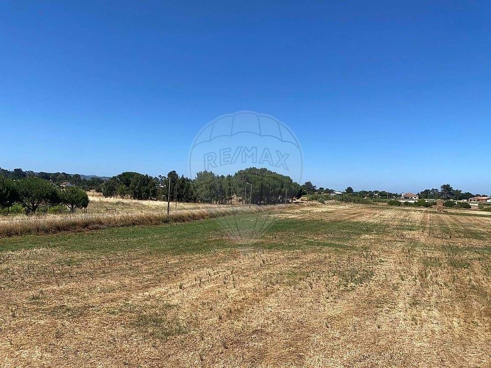 Farm hus i Palmela, Setubal - foto 3
