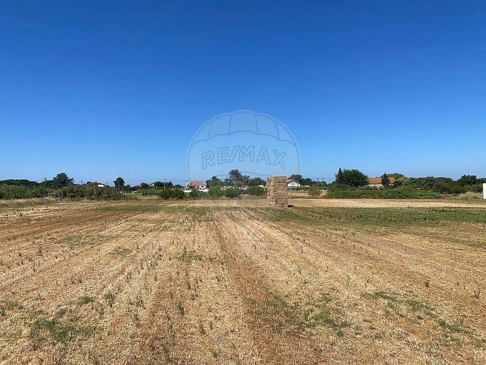 Farm hus i Palmela, Setubal - foto 4