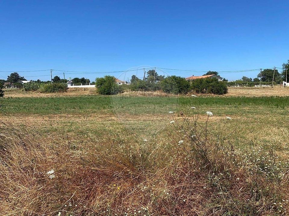 Farm hus i Palmela, Setubal - foto 5
