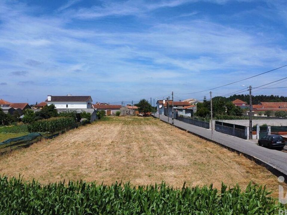 Działka: Aveiro, Aveiro – zdjęcie 5