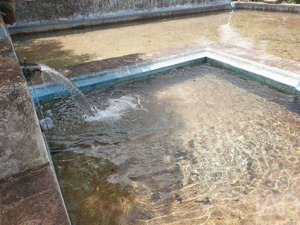 Gård i Elvas, Portalegre - bilde 2