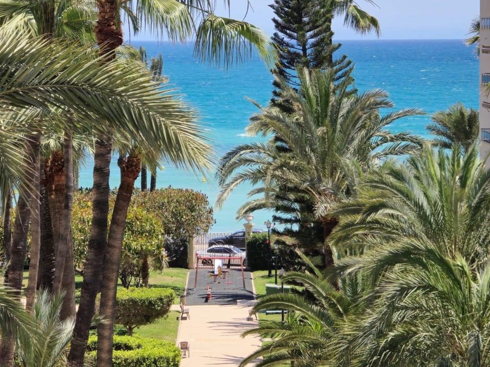 Lejlighed i Torrevieja, Alicante - foto 4