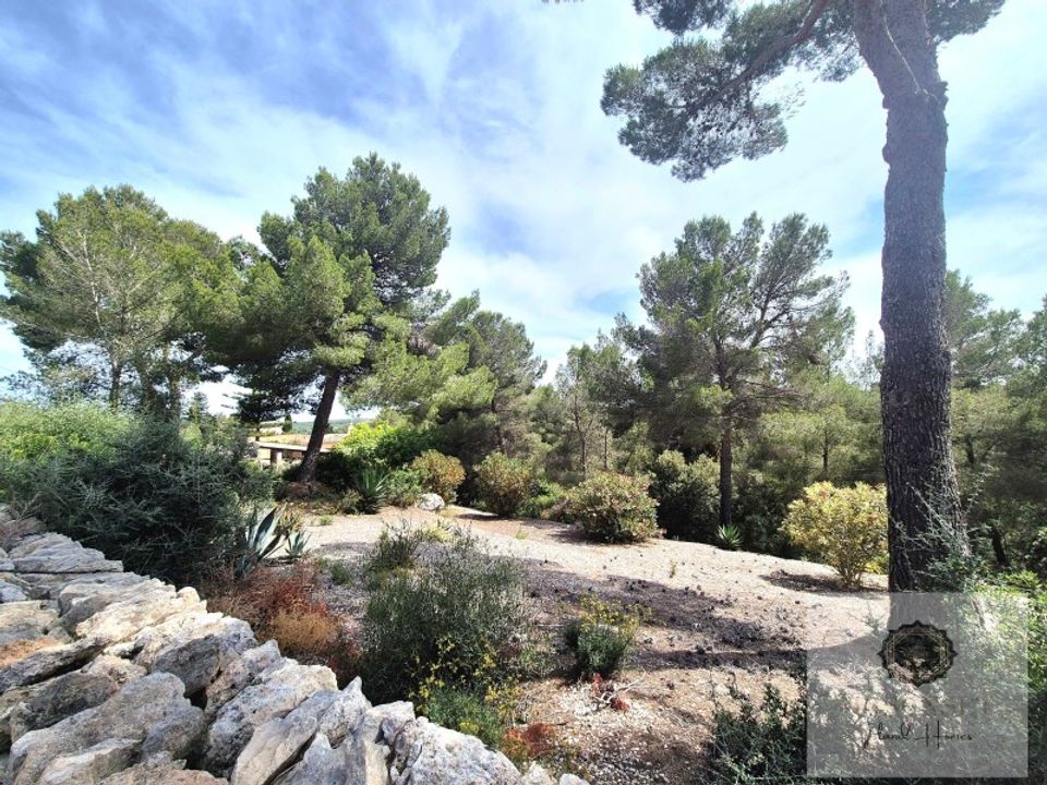 Villa in Manacor, Mallorca - foto 5