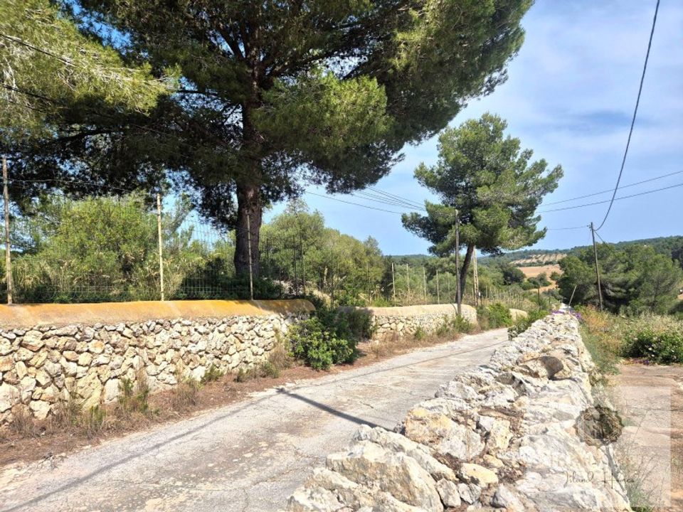 Villa in Manacor, Mallorca - foto 2