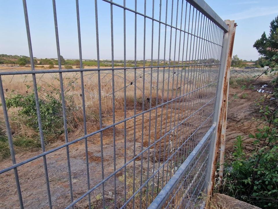Grond in Lepe, Huelva - foto 2