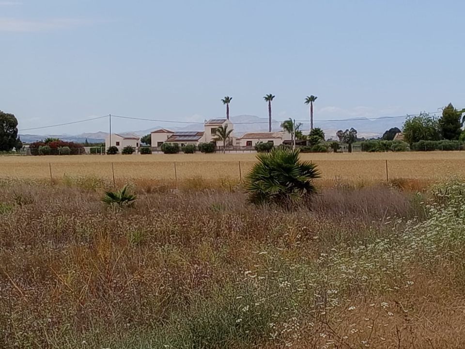 Helårsgrund i San Fulgencio, Alicante - foto 1