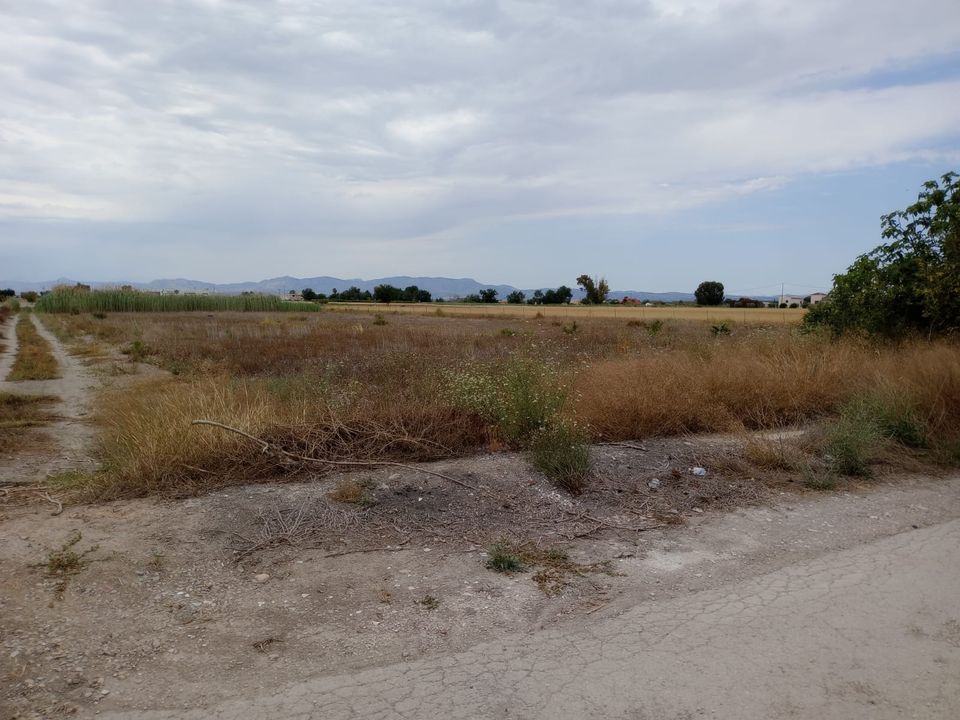 Helårsgrund i San Fulgencio, Alicante - foto 2