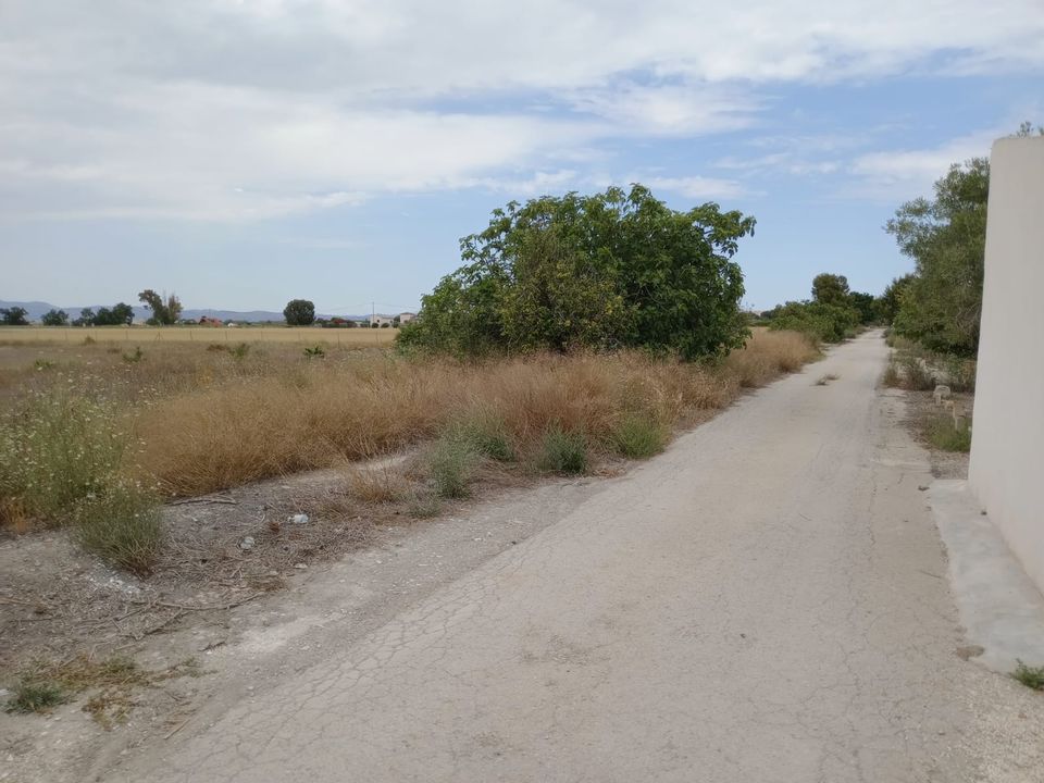Helårsgrund i San Fulgencio, Alicante - foto 3