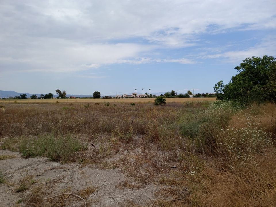 Helårsgrund i San Fulgencio, Alicante - foto 5