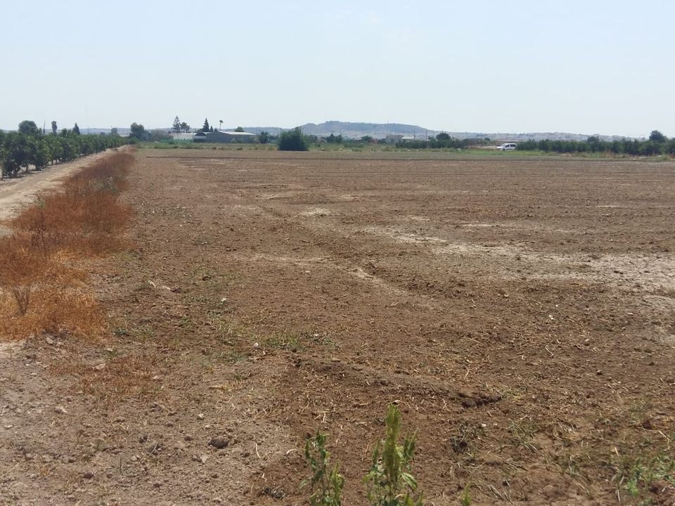 Finca i Daya Nueva, Alicante - bilde 2