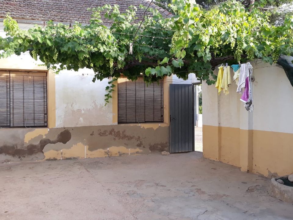 Finca i Daya Nueva, Alicante - bilde 5