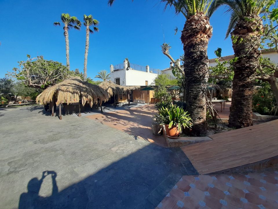 Finca i Orihuela, Alicante - foto 1