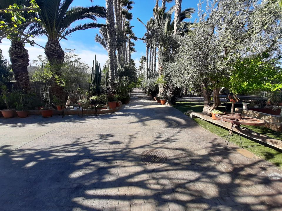 Finca i Orihuela, Alicante - foto 5
