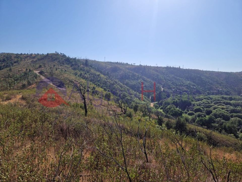 Terrain - Odeceixe, Faro - photo 4