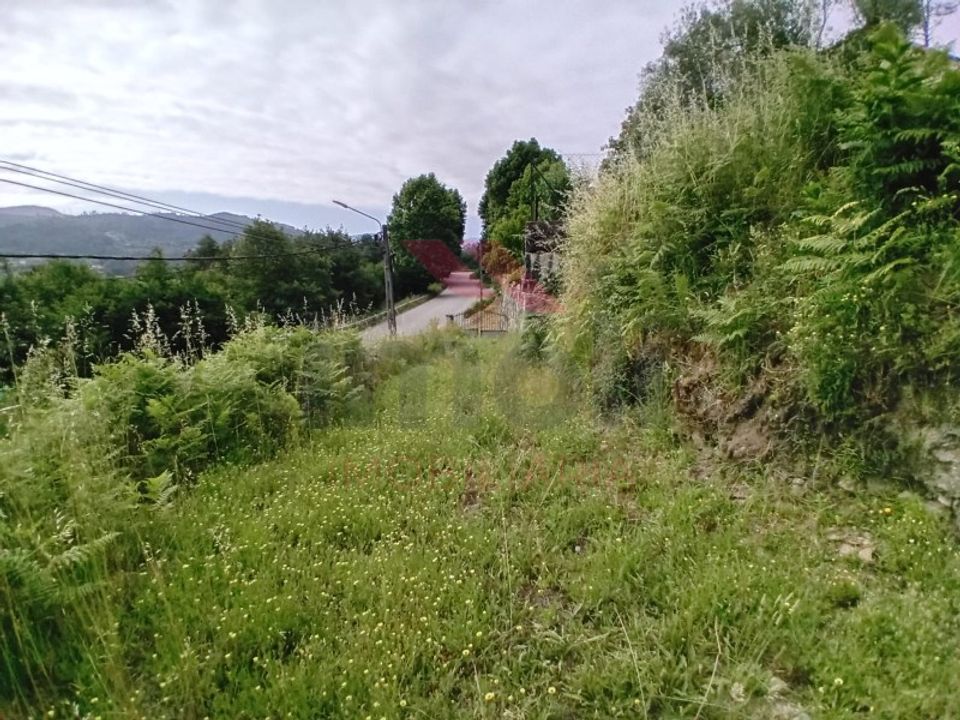 Tomt i Aboim das Chocas, Viana do Castelo - bilde 5