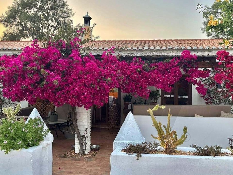 Farm hus i Estombar, Faro - foto 1