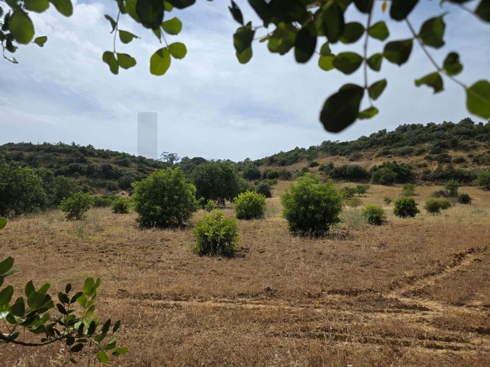 Helårsgrund i Lagoa, Faro - foto 1