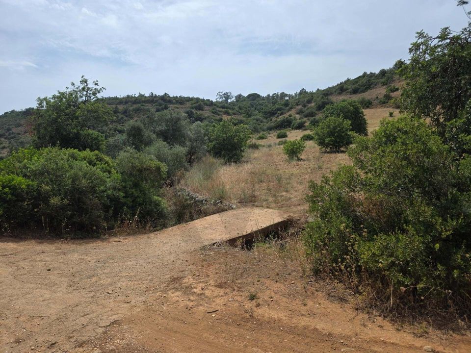 Helårsgrund i Lagoa, Faro - foto 3