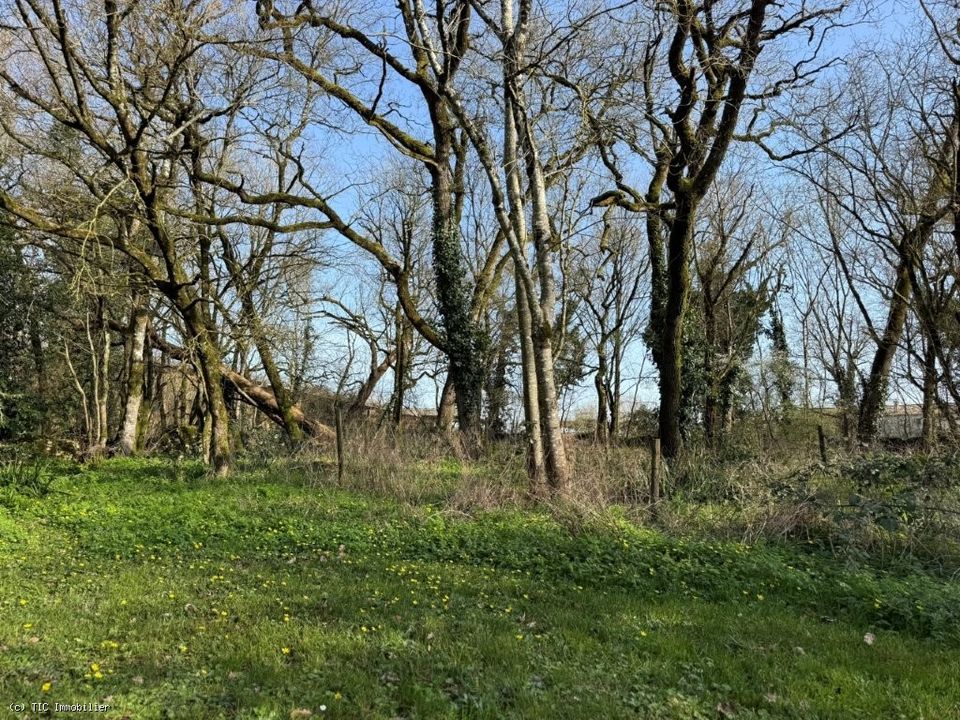 Villa i Villefagnan, Charente - foto 5