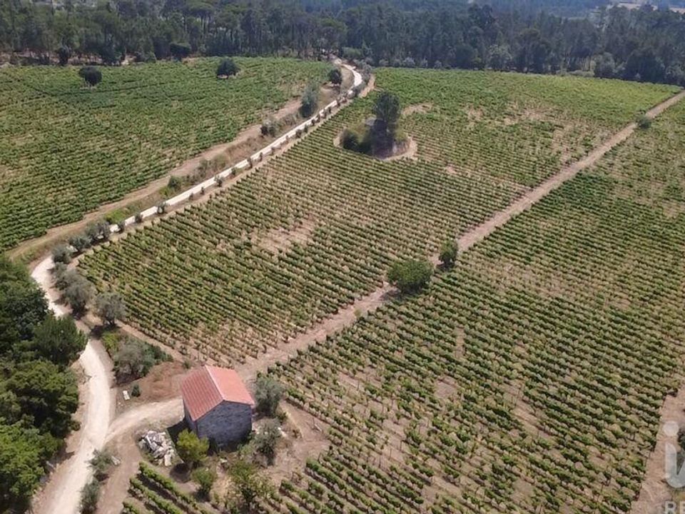 Granja a Nelas, Viseu - foto 1