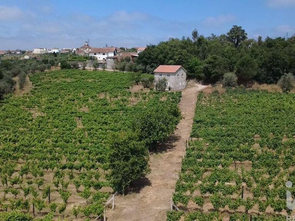 Granja a Nelas, Viseu - foto 3