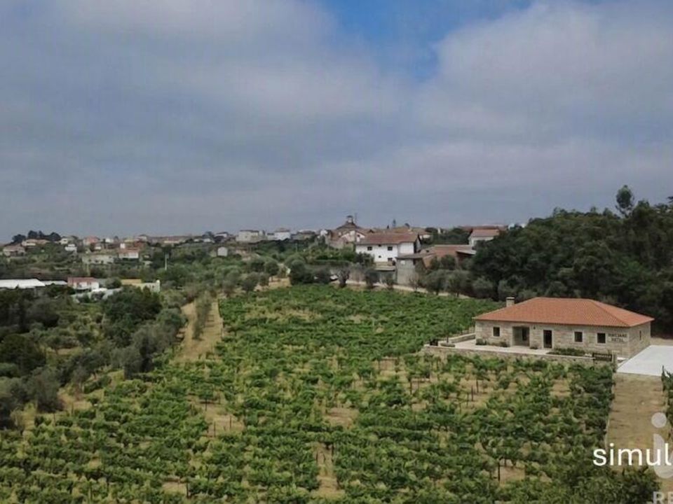 Granja a Nelas, Viseu - foto 4