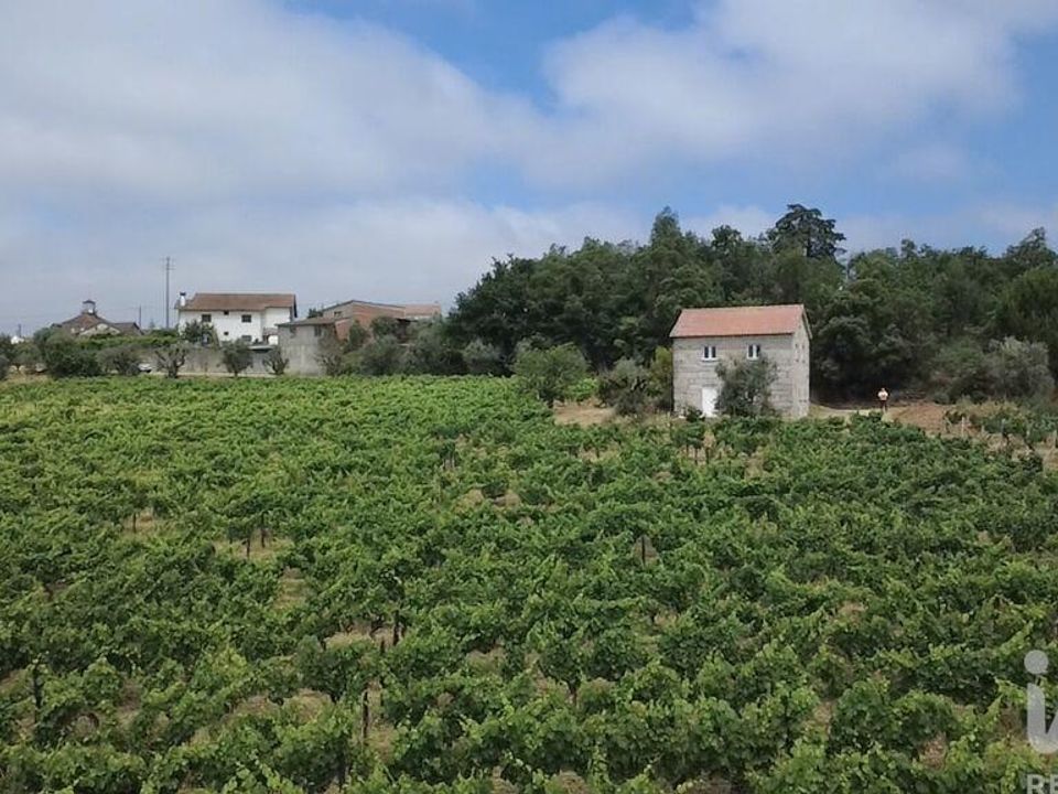 Granja a Nelas, Viseu - foto 5