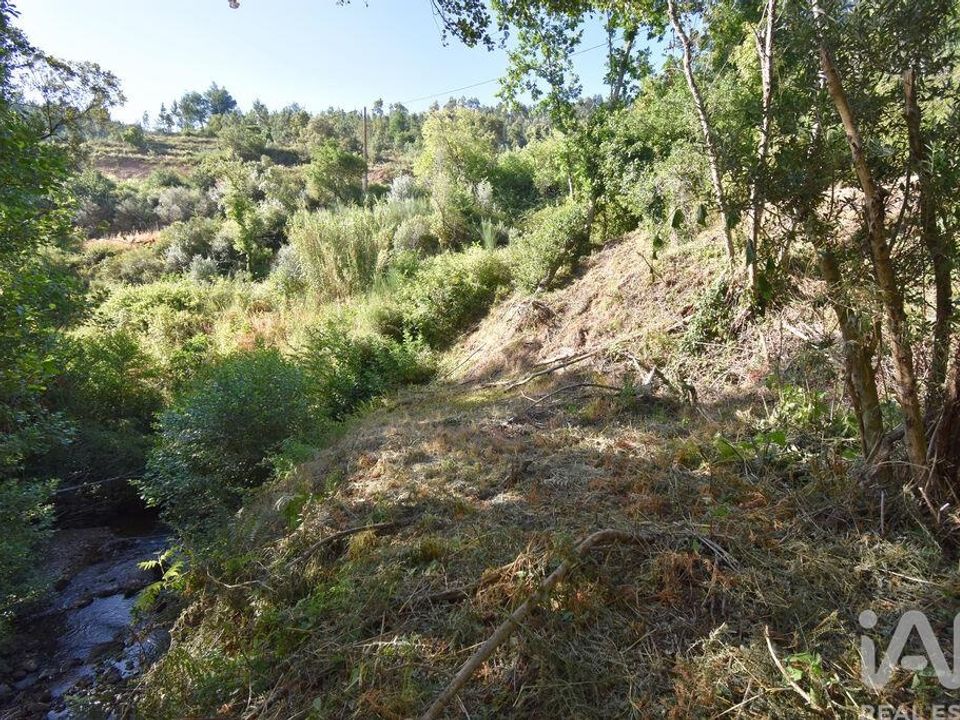 Grond in Penela, Coimbra - foto 1