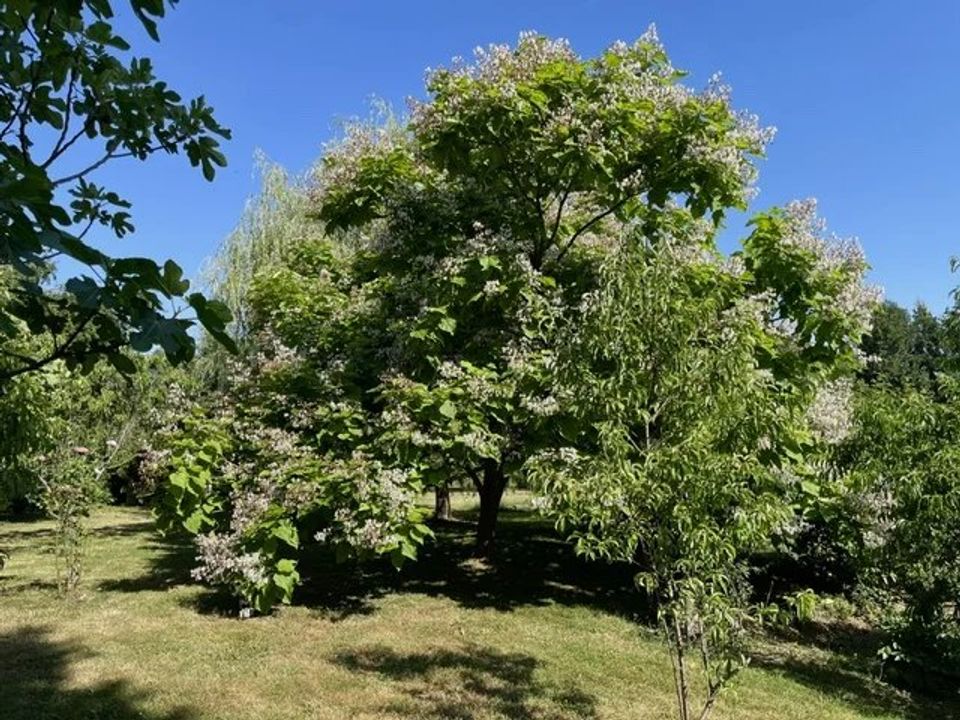 Bungalow i Rochechouart, Haute-Vienne - foto 2