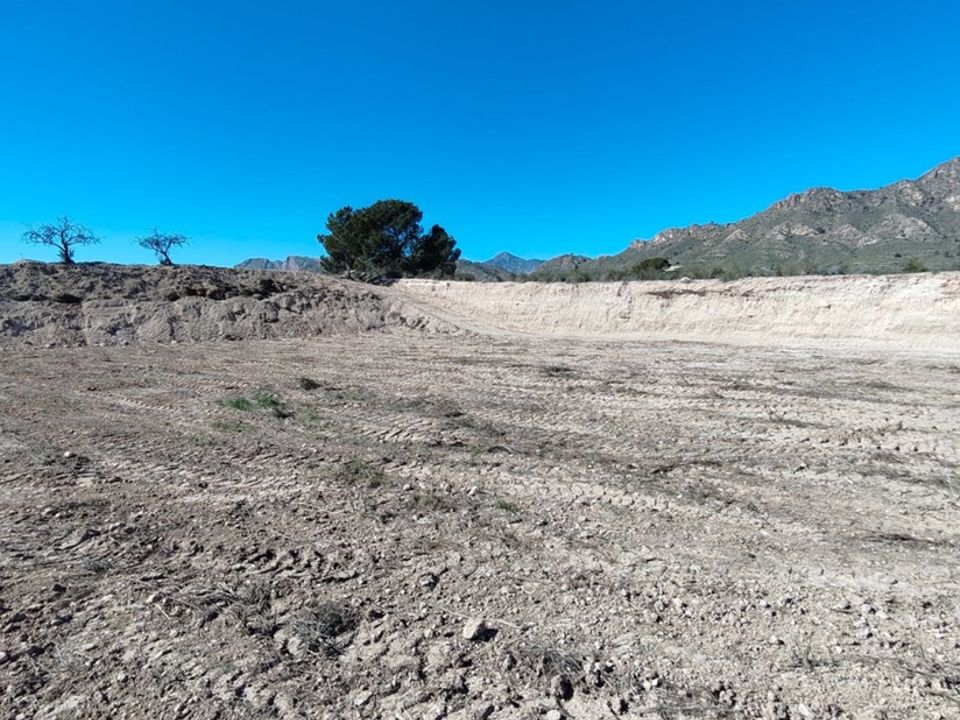 Helårsgrund i Abanilla, Murcia - foto 5