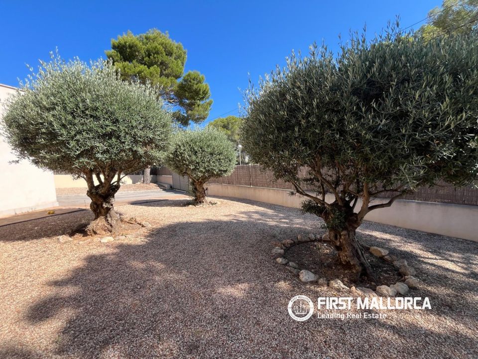 Villa em El Toro, Mallorca - foto 5