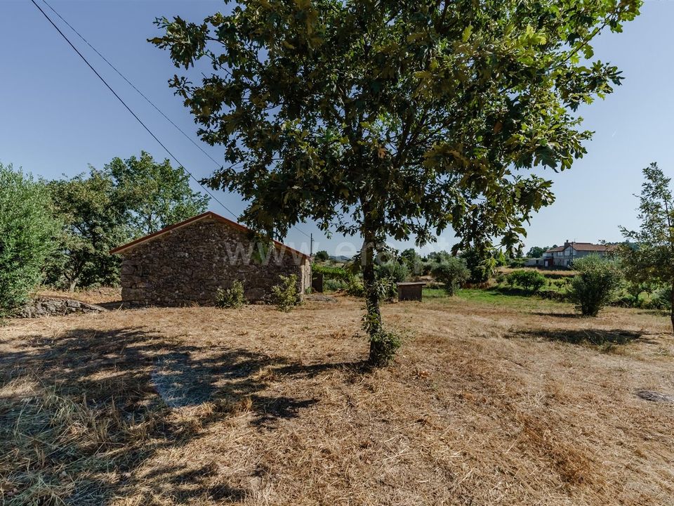 Helårsgrund i Covilha, Castelo Branco - foto 5