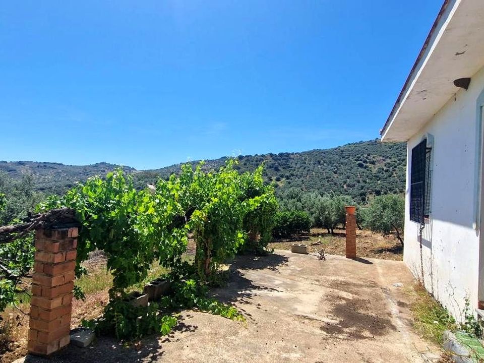 Masia a Alfarnatejo, Malaga - foto 2