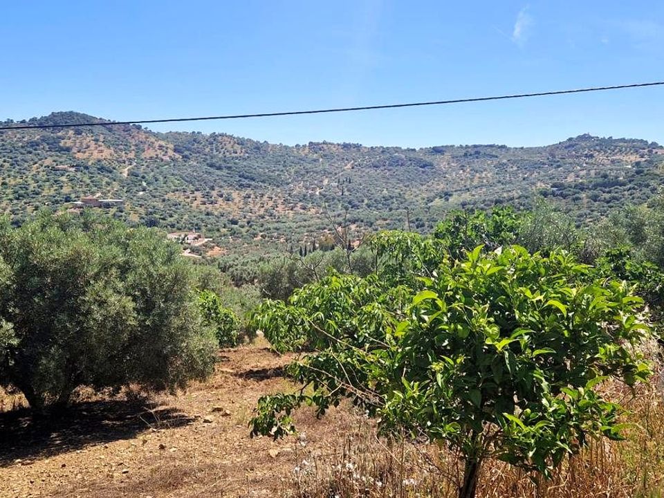 Masia a Alfarnatejo, Malaga - foto 3