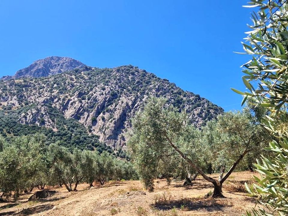 Masia a Alfarnatejo, Malaga - foto 4