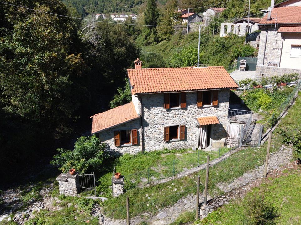 Villa i Vagli Sotto, Lucca - bilde 4