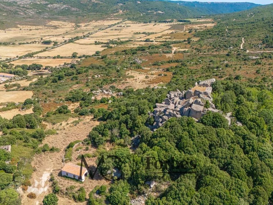 Terra a Tempio Pausania, Olbia Tempio - foto 4